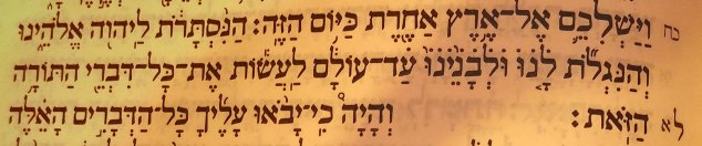 %d7%9c%d7%a0%d7%95-%d7%95%d7%9c%d7%91%d7%a0%d7%99%d7%a0%d7%95